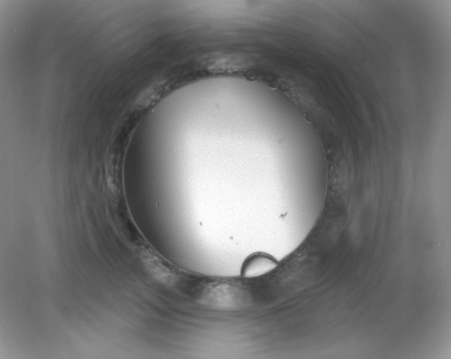 X0000082160755200702021700