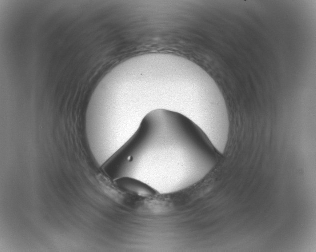 X0000082160756200702021700