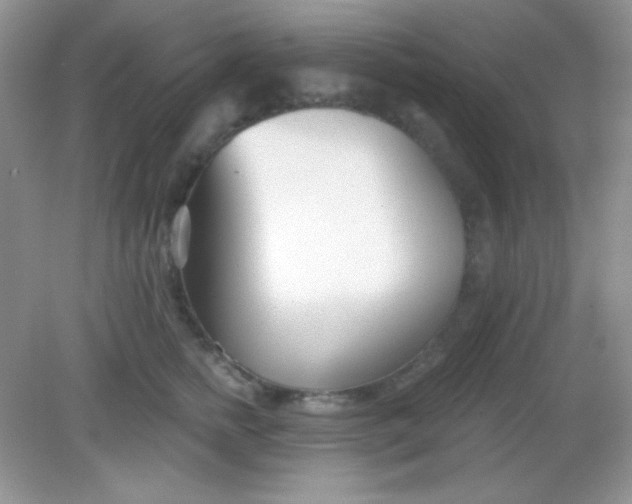 X0000082160758200702021700