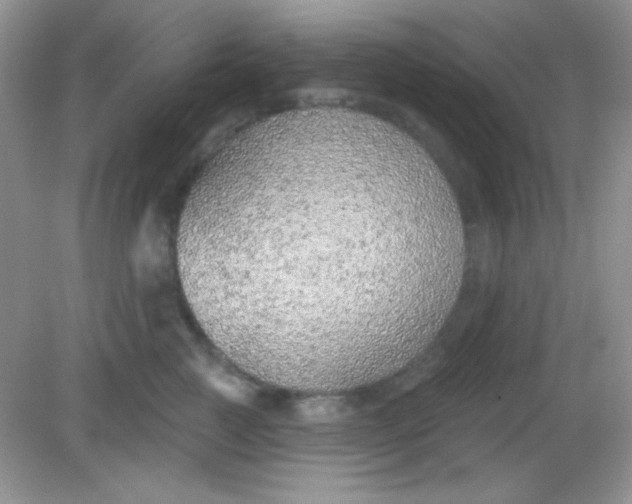 X0000082160761200702021700