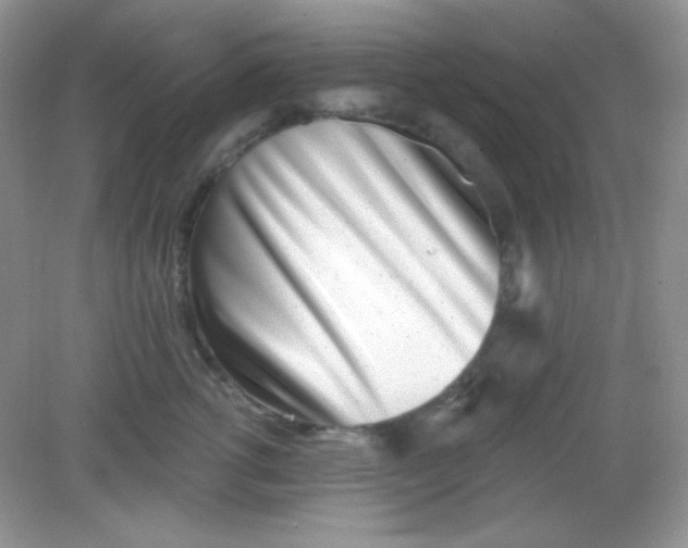 X0000082160762200702021700