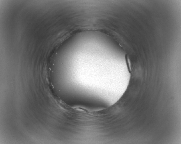 X0000082160764200702021701