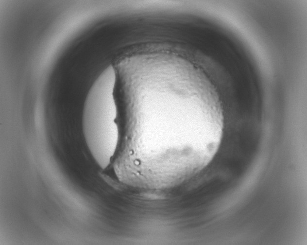 X0000082160765200702021701