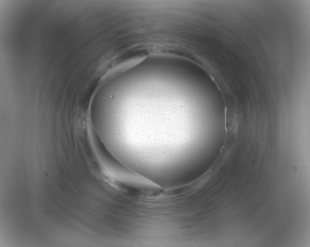 X0000082160766200702021701