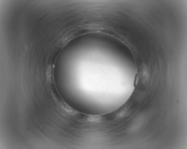 X0000082160767200702021701