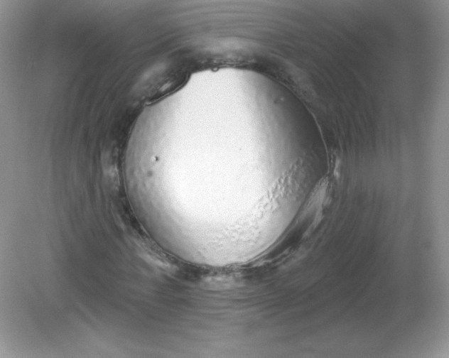 X0000082160771200702021700