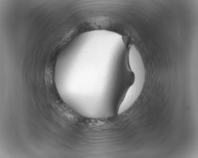 X0000082160772200702021700