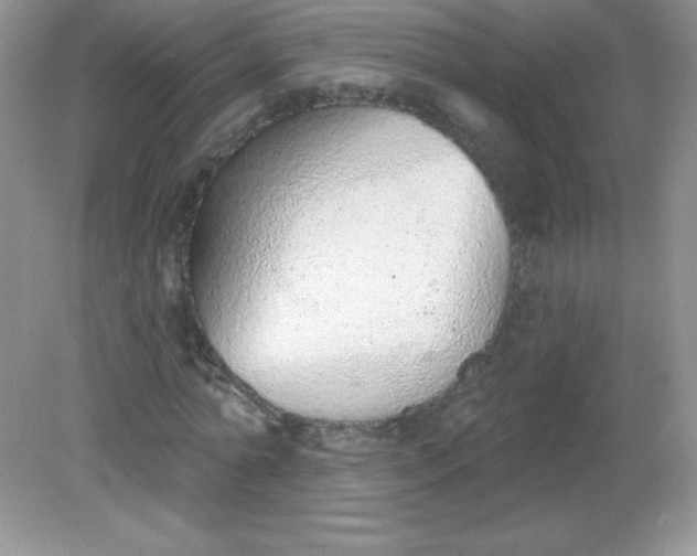 X0000082160774200702021700