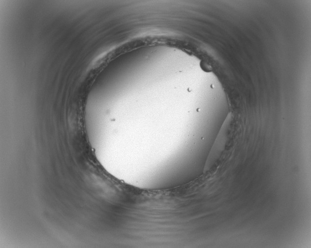 X0000082160775200702021700