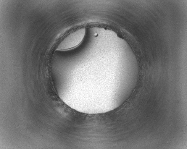 X0000082160776200702021700