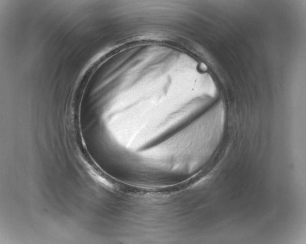 X0000082160779200702021700