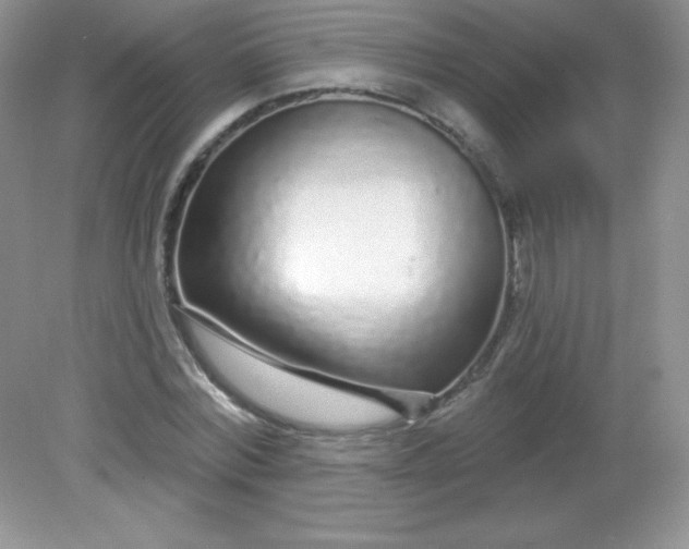 X0000082160780200702021700