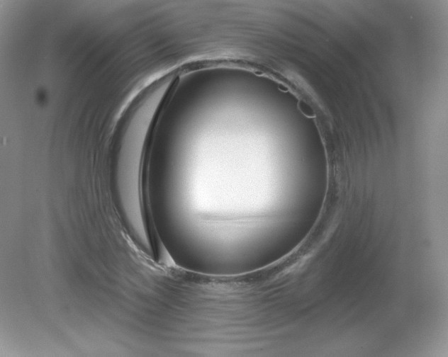 X0000082160781200702021700