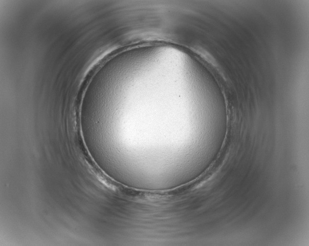 X0000082160782200702021700