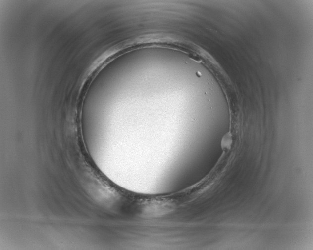 X0000082160786200702021659