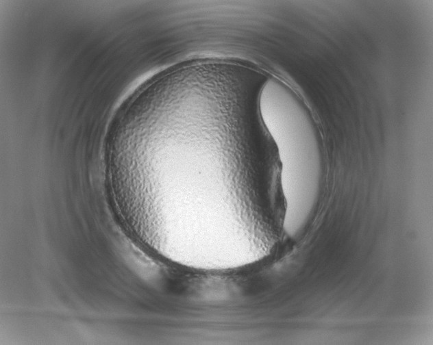 X0000082160787200702021659