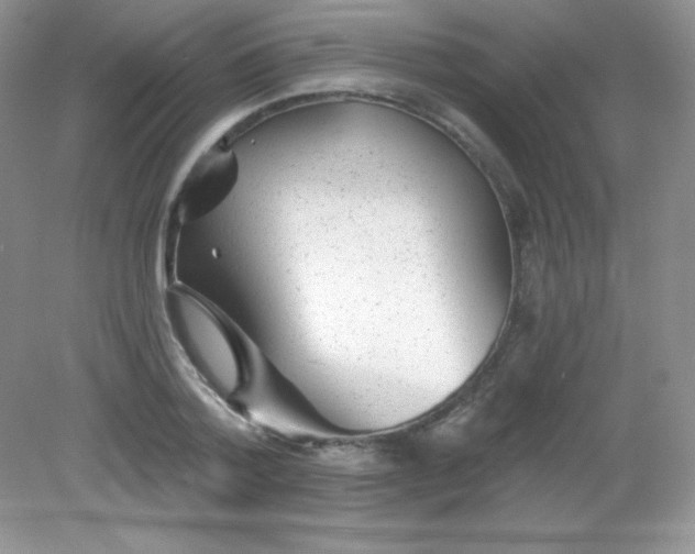 X0000082160788200702021659