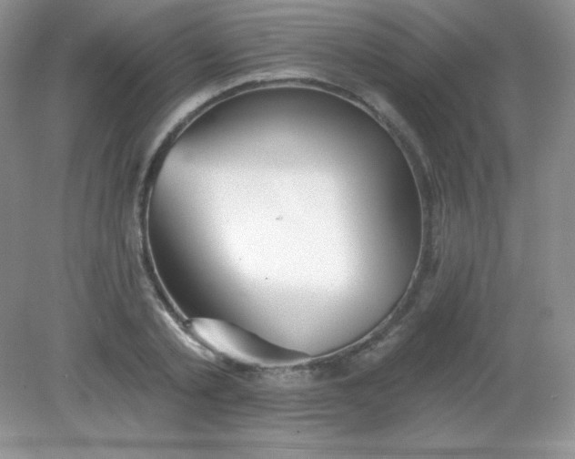 X0000082160789200702021659