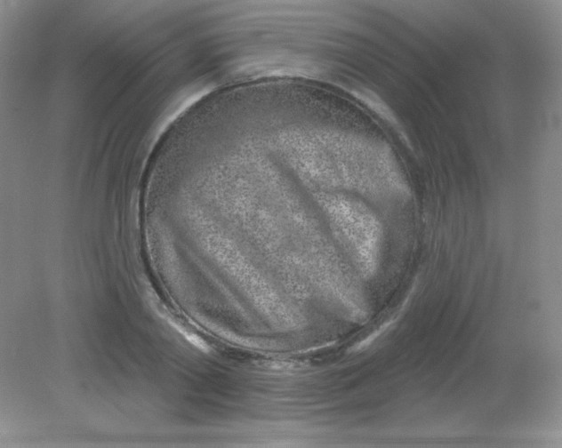 X0000082160790200702021659