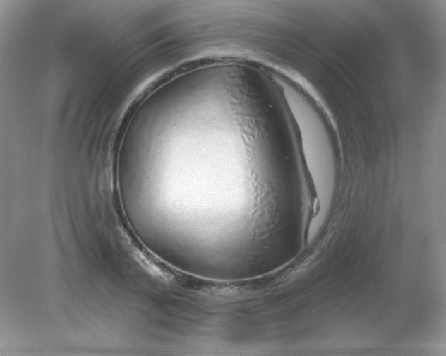 X0000082160791200702021659