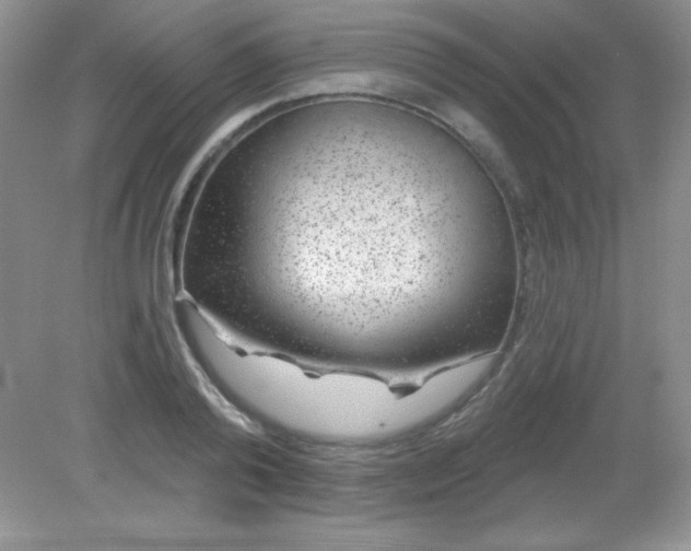 X0000082160792200702021659