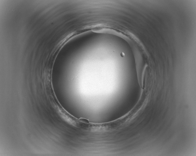 X0000082160793200702021659