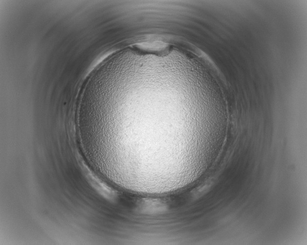 X0000082160794200702021659