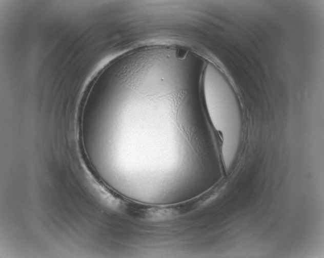 X0000082160795200702021659