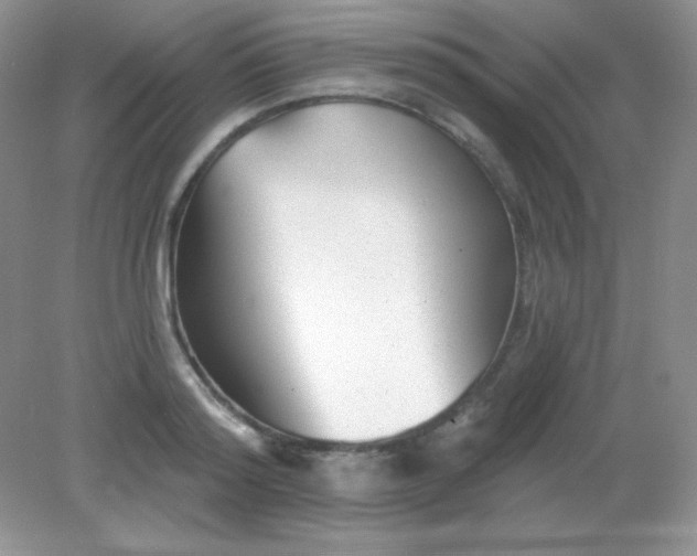 X0000082160796200702021659