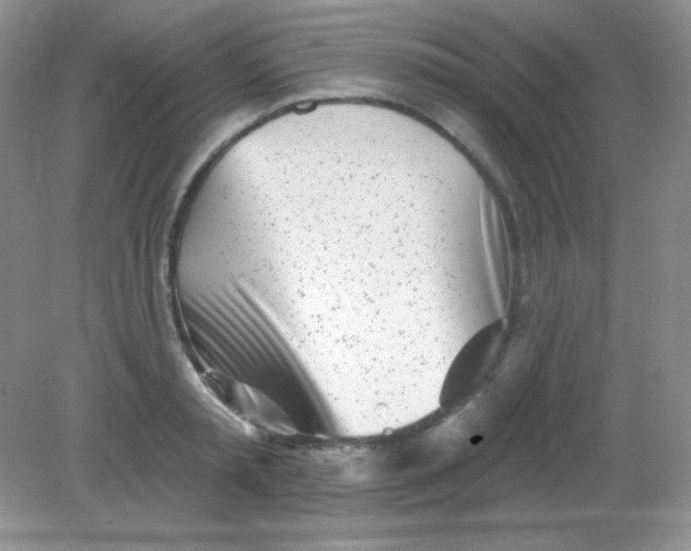 X0000082160797200702021659