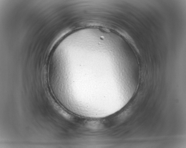 X0000082160798200702021659