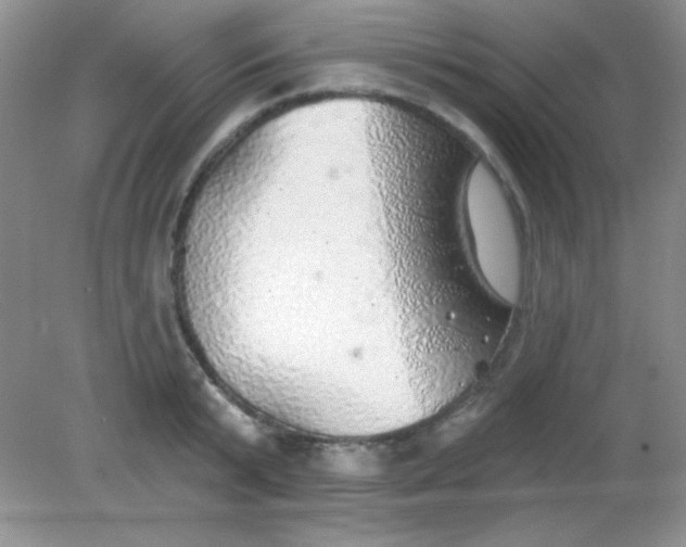 X0000082160799200702021659