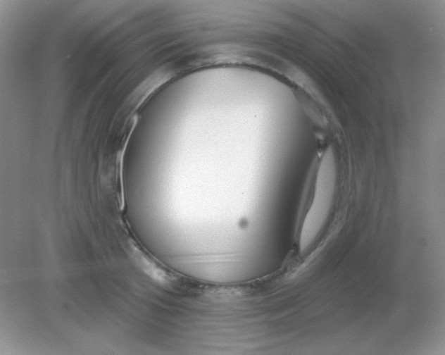 X0000082160801200702021659