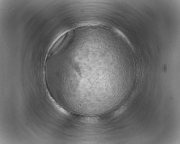 X0000082160802200702021659