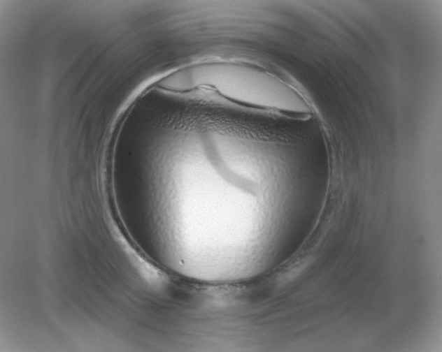 X0000082160803200702021659