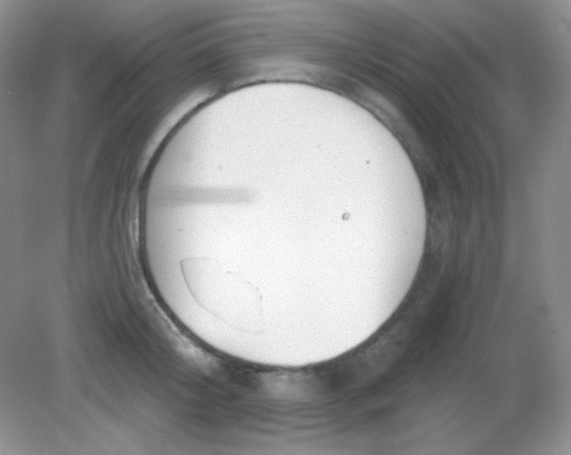 X0000082160804200702021659