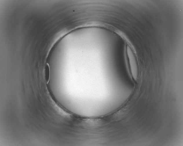 X0000082160805200702021659