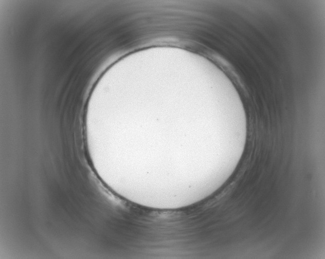 X0000082160808200702021659