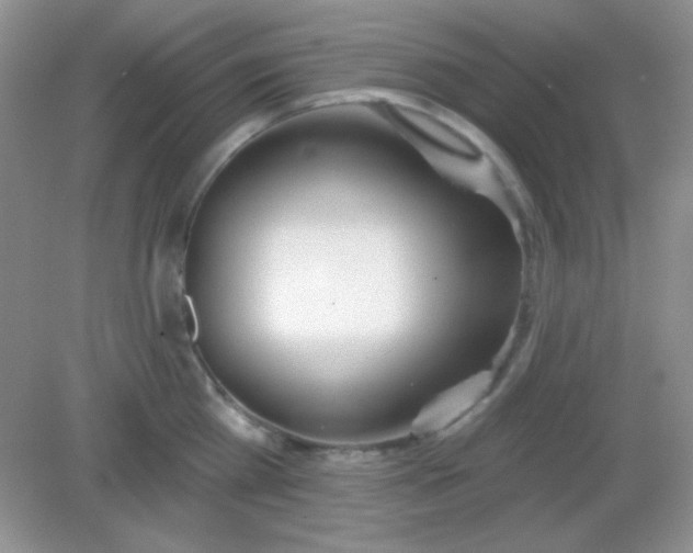 X0000082160809200702021659