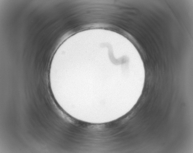 X0000082160810200702021659