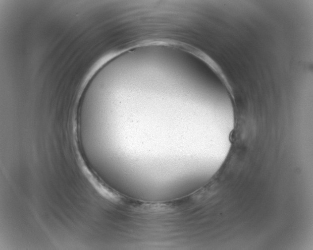 X0000082160811200702021659