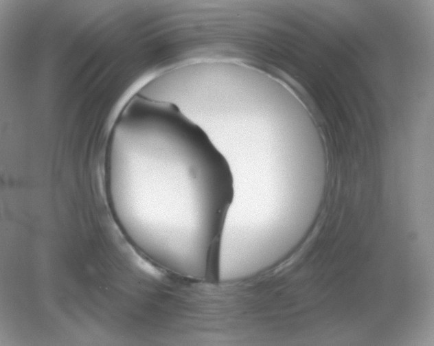 X0000082160812200702021659