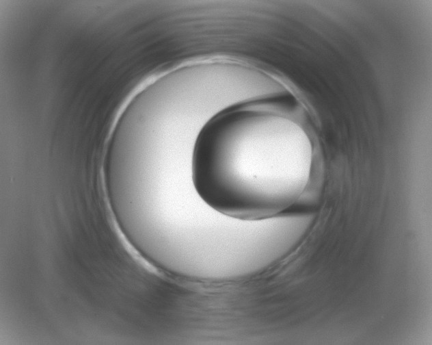 X0000082160813200702021659