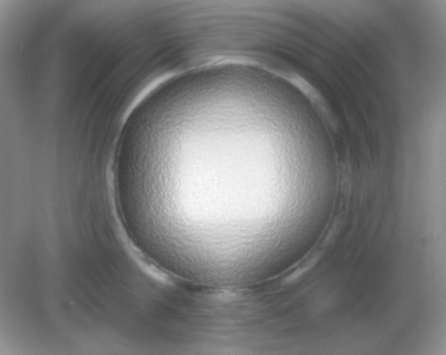 X0000082160814200702021659