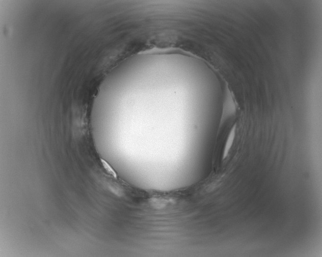 X0000082160818200702021658