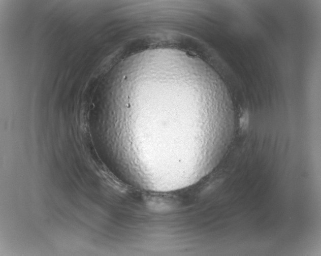 X0000082160819200702021658