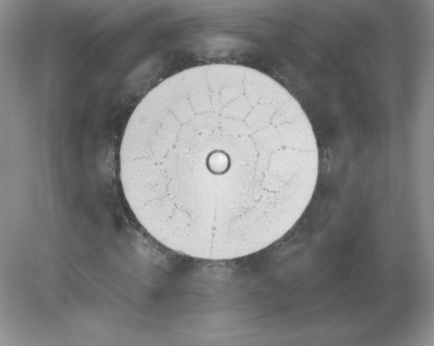 X0000082160820200702021658