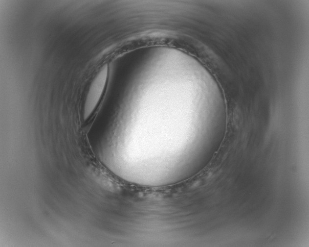 X0000082160821200702021658