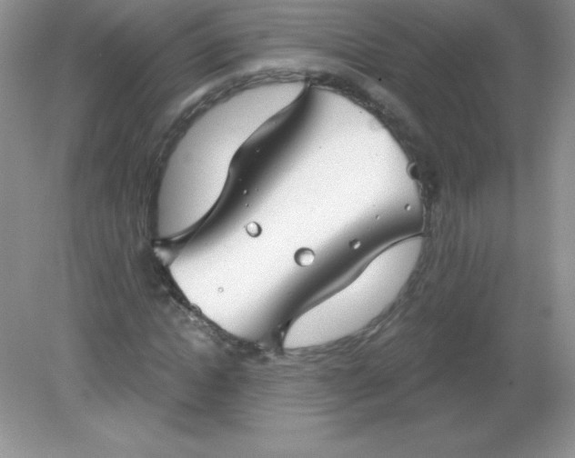 X0000082160822200702021658