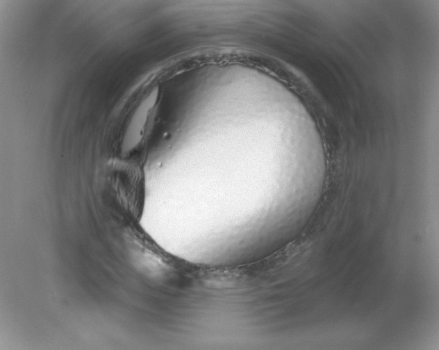 X0000082160823200702021658